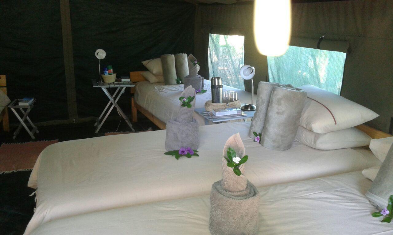 Villa Epupa Camp Extérieur photo