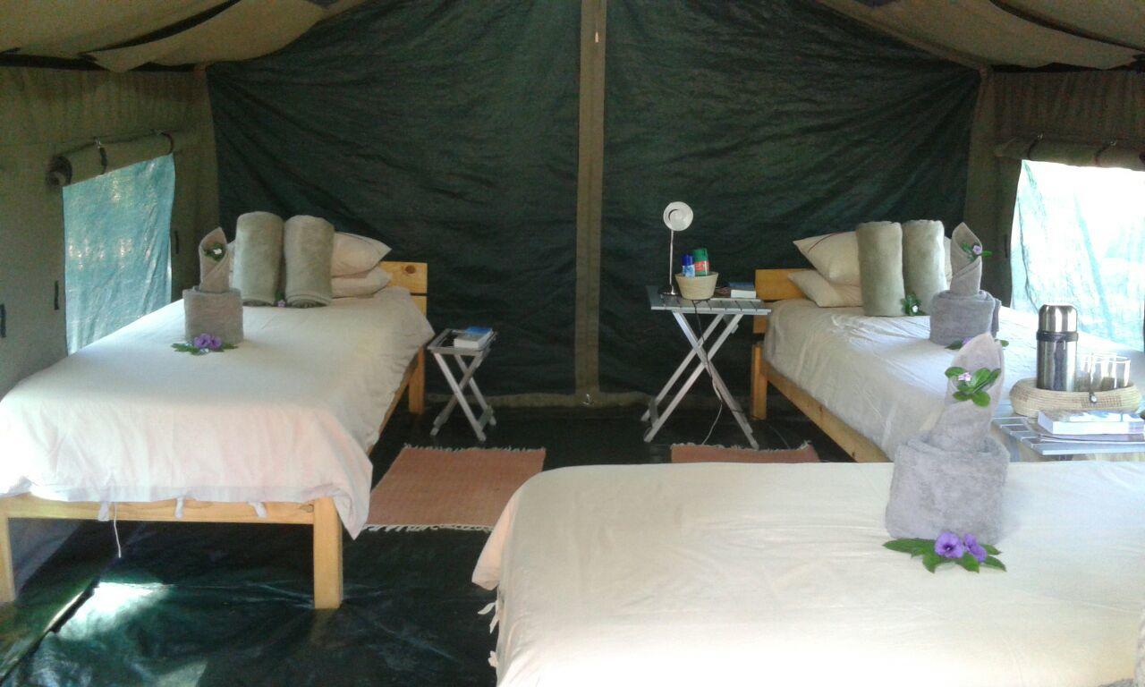 Villa Epupa Camp Extérieur photo
