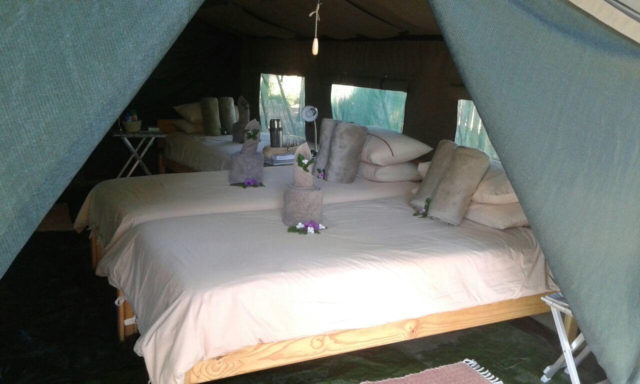 Villa Epupa Camp Extérieur photo